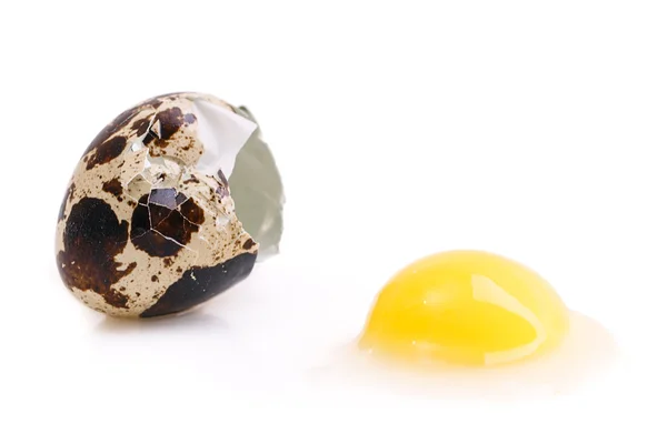 Białko żółtko przepiórcze jaja — Zdjęcie stockowe