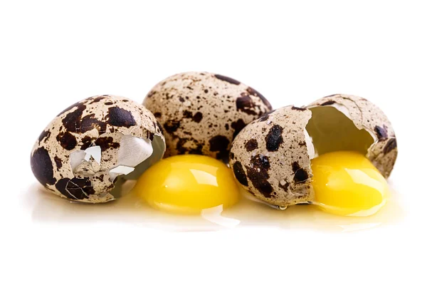 Bıldırcın yumurta — Stok fotoğraf