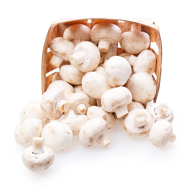 香菇蘑菇篮子 — 图库照片
