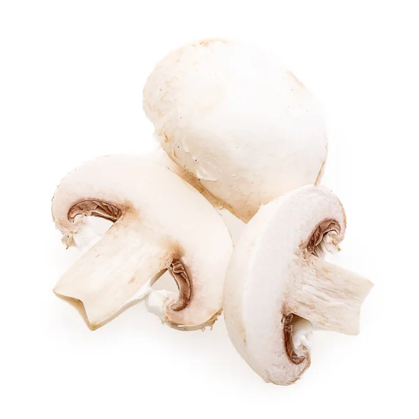 Champignons funghi — Foto Stock