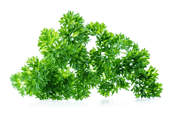 Leaf parsley — Stok fotoğraf