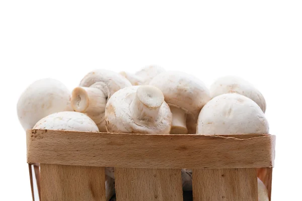 Champignons mushrooms basket — Stock Photo, Image