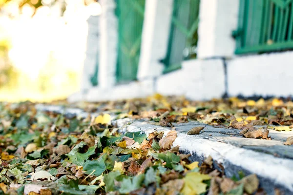 Herbst fällt Blätter gelb Zaun Straße — Stockfoto