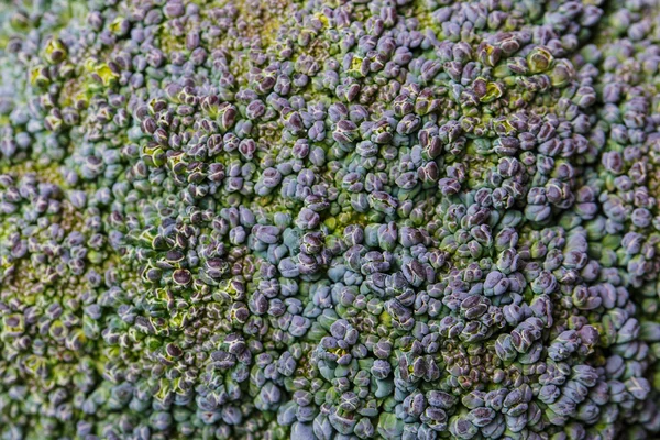 Broccoli bakgrund — Stockfoto