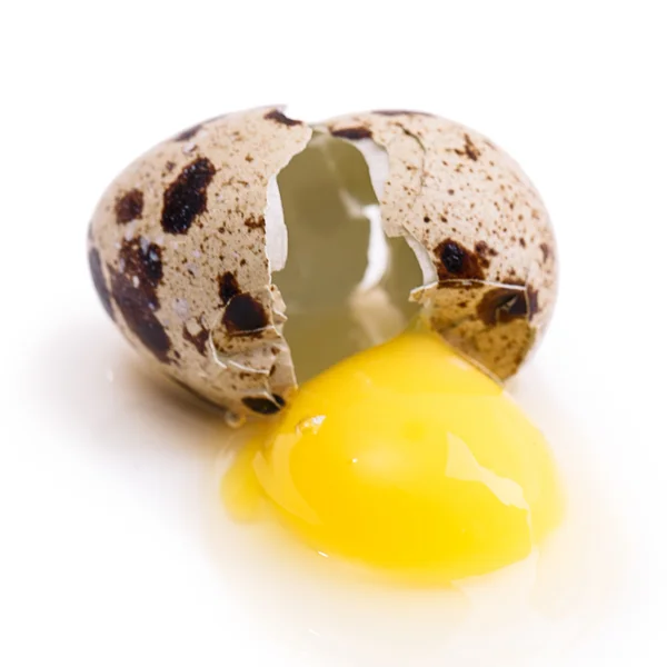 Vaktelägg — Stockfoto