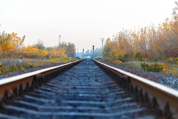 Railroad tracks — Stockfoto