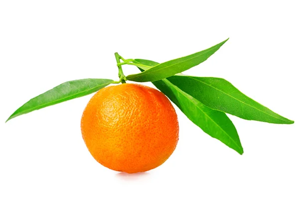 Mandarin — Stok fotoğraf