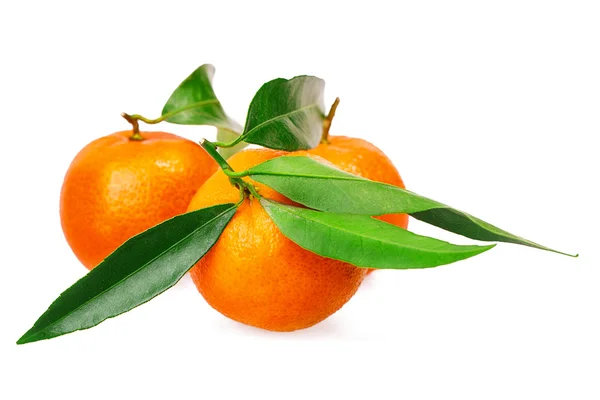 Mandarin — Stok fotoğraf