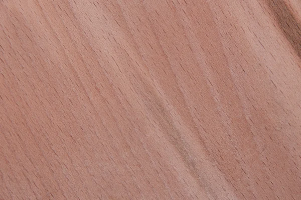 Wood texture background — Stock Photo, Image