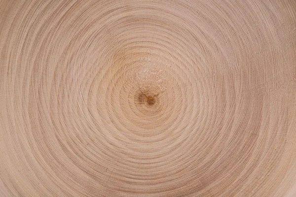 Madera cortar círculos textura — Foto de Stock