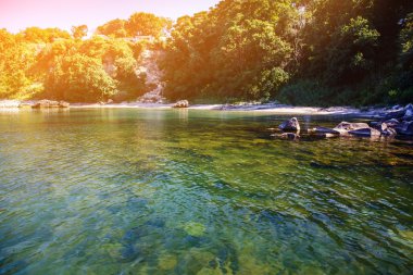 doğa manzara sahil deniz