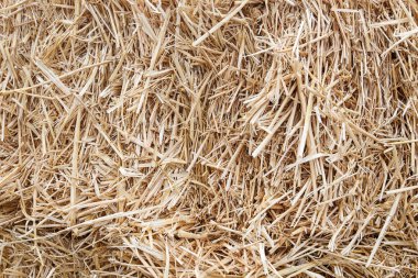 saman saman arka plan