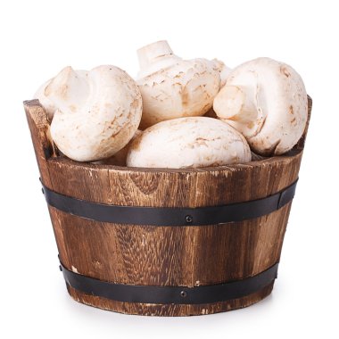 Beyaz ahşap KDV mantar göl kenarında