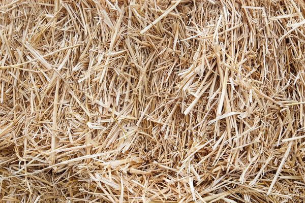 Соломенный фон
