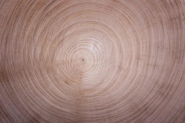 Círculos textura de madeira — Fotografia de Stock