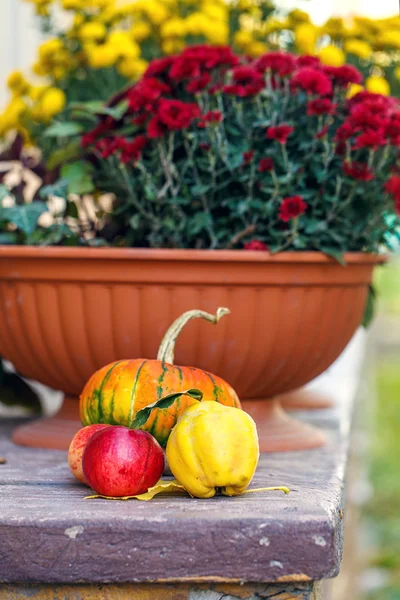 Escaleras de piedra de calabaza — Foto de Stock