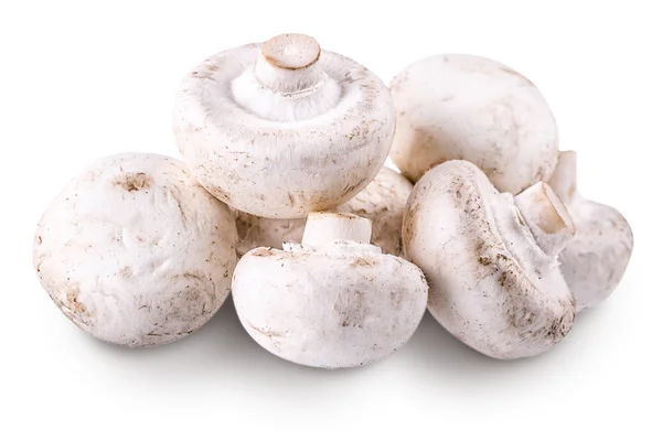 Champinhons de cogumelos Isolados em branco — Fotografia de Stock