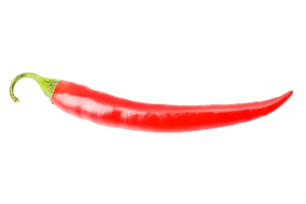 Chili peper op witte geïsoleerd — Stockfoto