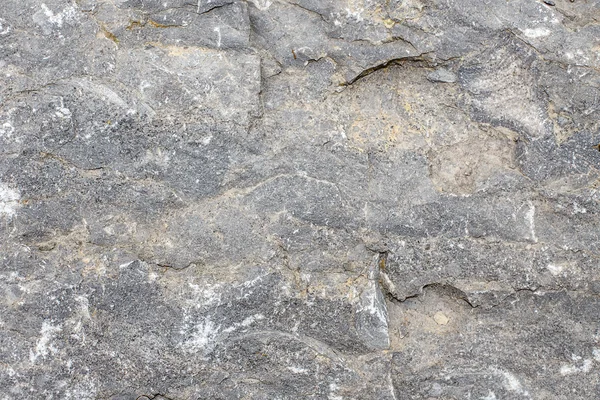 Stone background texture Stock Image
