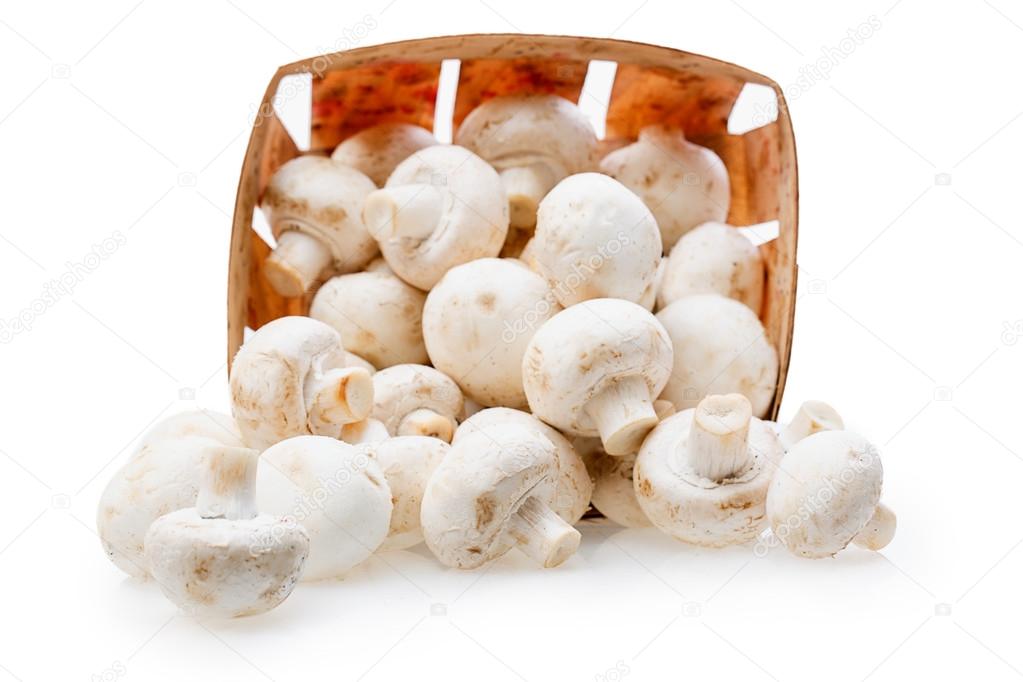 champignons mushrooms basket