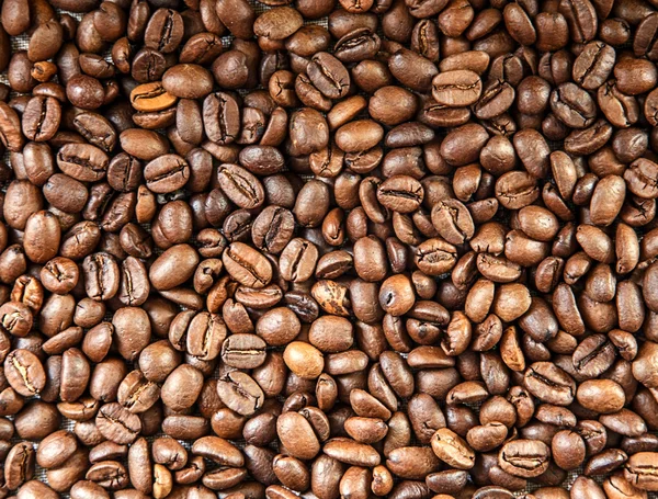 Kaffebönor bakgrund — Stockfoto