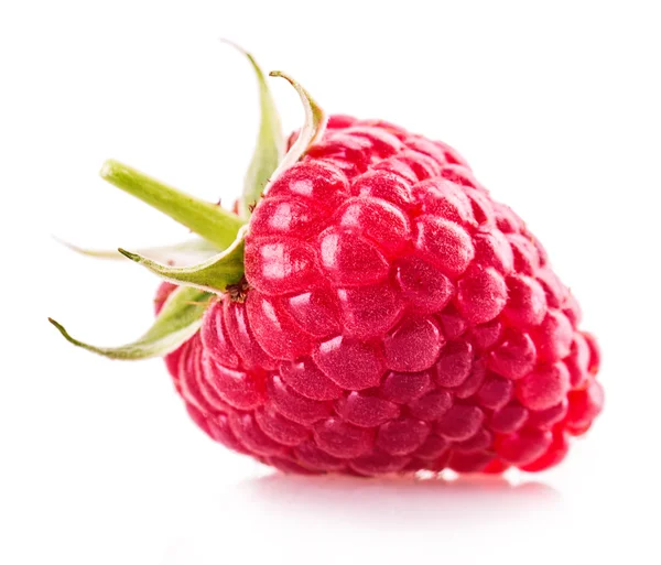 Strawberry Isolated on white — Stock Photo, Image