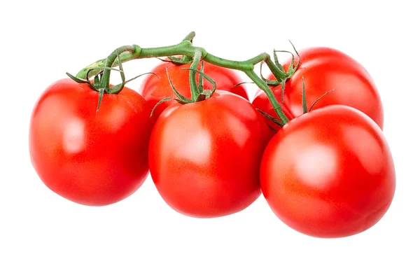 Tomato Isolated on white — Stock Photo, Image