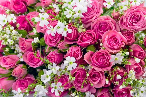 Bouquet of roses — Stock Photo, Image