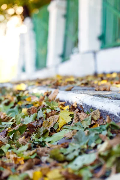 Caduto autunno foglie giallo recinzione strada — Foto Stock