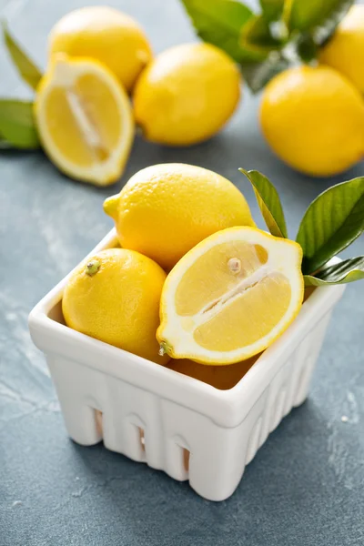 Citrons colorés frais et lumineux — Photo
