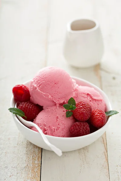 Malinová zmrzlina v bílé misce — Stock fotografie
