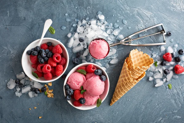 Malinová zmrzlina v bílé misce — Stock fotografie