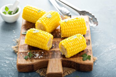 Vejetaryen burger yumurta ve avokado