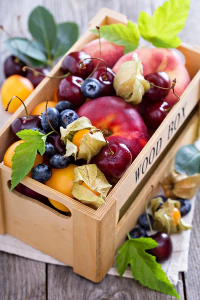 Sommerfrukt i en kasse – stockfoto