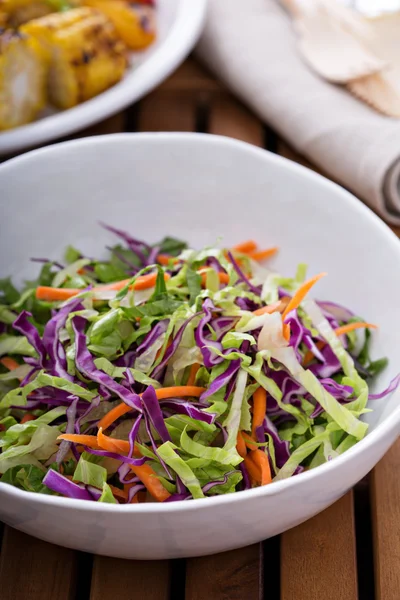 Salat mit Krautsalat für ein Picknick im Freien — Stockfoto