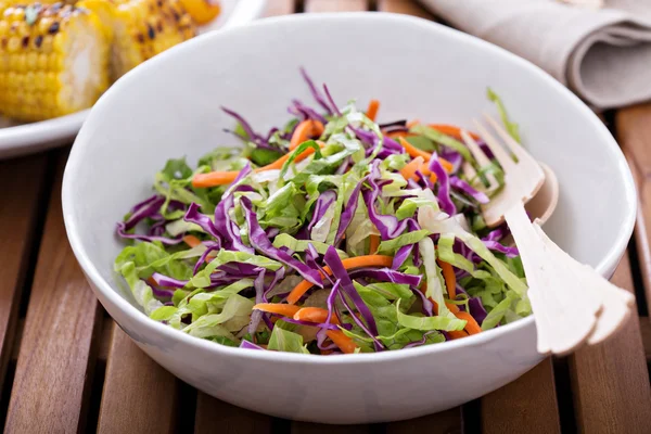 Salada de salada Cole para um piquenique ao ar livre — Fotografia de Stock