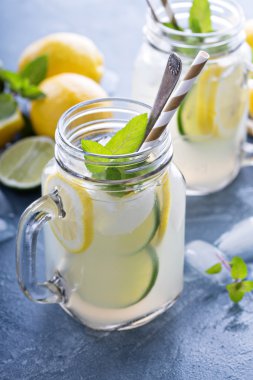 Taze narenciye limonata mason kavanoz