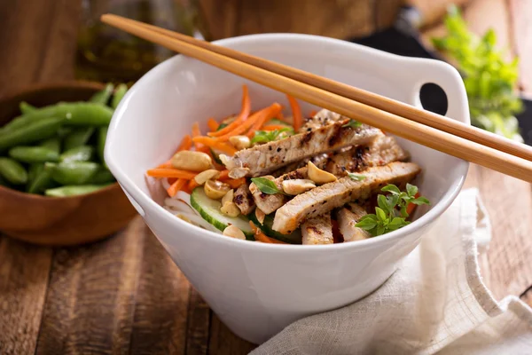 Asiatisk mat Kycklingsallad — Stockfoto