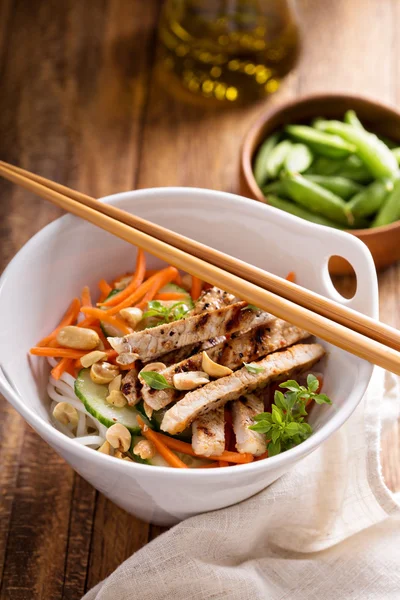 Asiatisk mat Kycklingsallad — Stockfoto