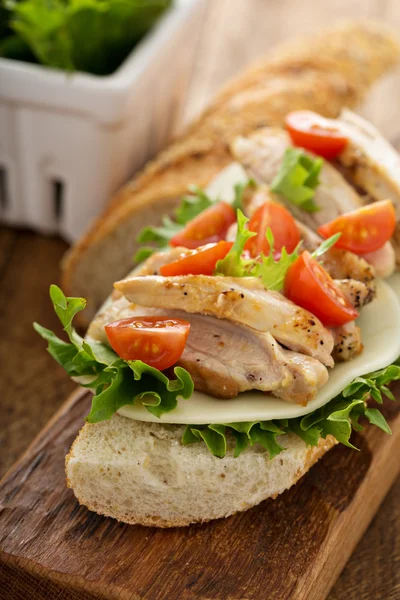 Grilled chicken sandwich with basil and tomatoes — Stock Photo, Image