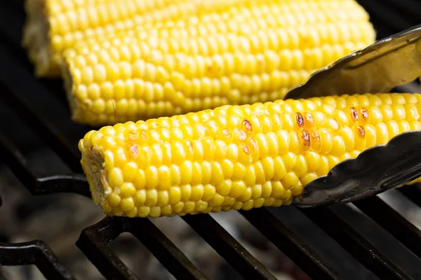 Cooking corn on the cob — Stock Photo, Image