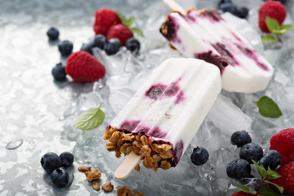 Йогурт, ягода и мюсли на завтрак фруктовое мороженое — стоковое фото