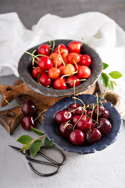 Cerezas dulces frescas en cuencos —  Fotos de Stock