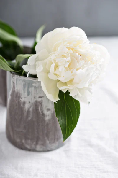 Peonía blanca en taza hecha a mano gris — Foto de Stock