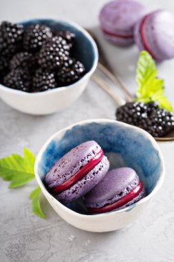 Fransız macarons gri bir tablo