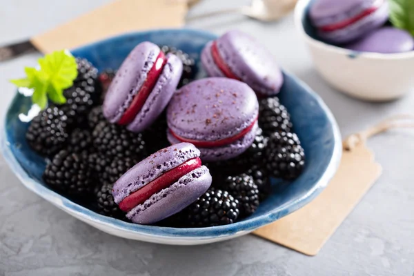 Französische Macarons auf einem grauen Tisch — Stockfoto