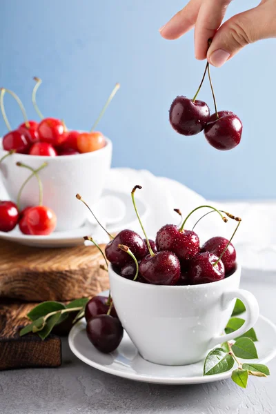 Cerezas dulces frescas en tazas —  Fotos de Stock