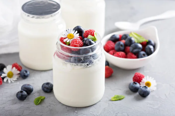 Frischer hausgemachter Joghurt in kleinen Gläsern — Stockfoto