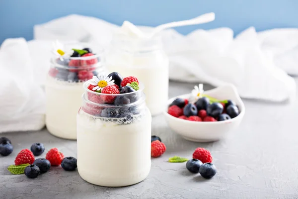 Yogur casero fresco en frascos pequeños — Foto de Stock