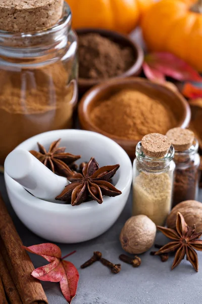 Pumpkin pie spice in a glass jar with ingredients — Stock Photo, Image